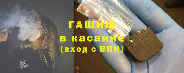 хмурый Ельня