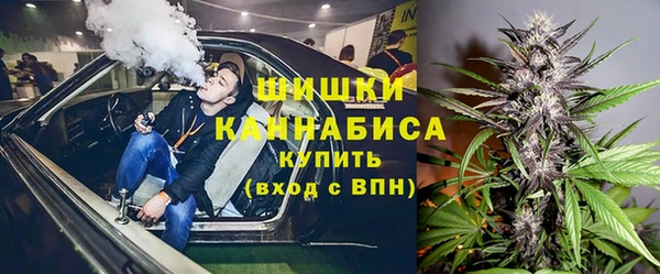 ГАЛЛЮЦИНОГЕННЫЕ ГРИБЫ Аркадак