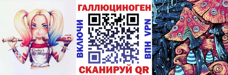 магазин  наркотиков  Кяхта  KRAKEN рабочий сайт  Псилоцибиновые грибы Psilocybe 